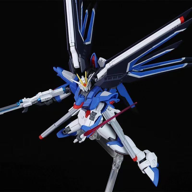 HG STTS-909 ライジング・フリーダムガンダム モデ - Bandai Model Gundam Hg のレビューと価格